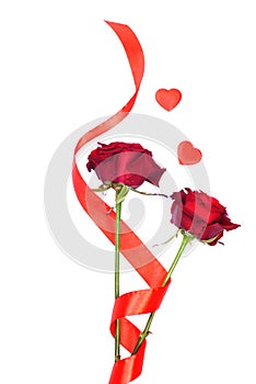 red roses with hearts for Valentine isolated on a white background