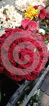 RED ROSES INDIAN BUFFE photo