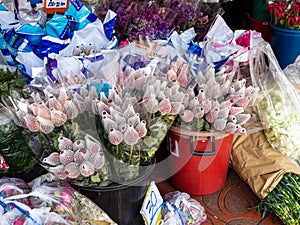 Red roses, individually wrapped and ready for sale in the flower market (Pak Klong Talad) in Bangkok, Thailand