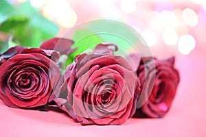 Red roses with lights, valentins day