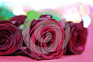 Red roses with lights, valentins day