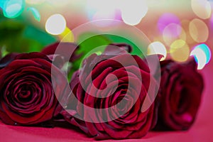 Red roses with lights, valentins day