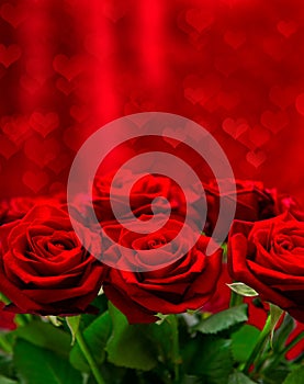 Rose Attraverso San Valentino cuore 