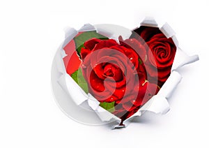 Red roses and paper heart on Valentine Day