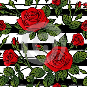 Red roses pattern seamless stripes with green leafs black and white lines, vector repeat tile