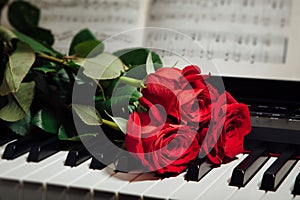 Red roses on piano keys and music book