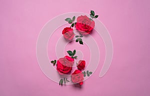 Red roses on a pink background