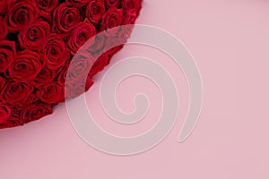 Red roses pink background banner. Bouquet of flowers. Florist shop postcard.