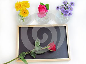 Red roses placed on the blackboard and yellow chrysanthemum, pink roses and purple margaret flower in bottles vases