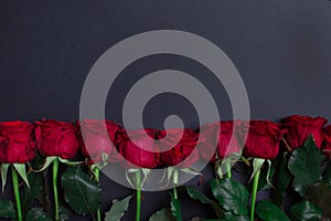Red roses on right side of balck background , with copy space