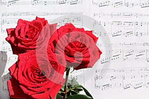 Red Roses and Sheet Music