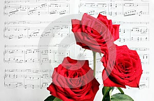 Red Roses and Sheet Music