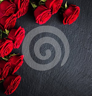 Red roses on a stone background