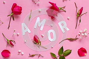 Red roses and text AMOR on a light pink background photo