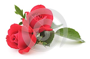 Red Roses img