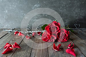 Red roses for valentine`s day