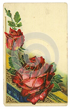 Red Roses Vintage Postcard