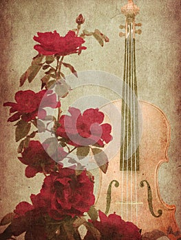 Red roses and violin