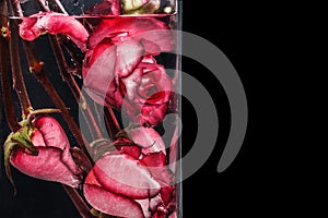 Red roses in a water on a black background