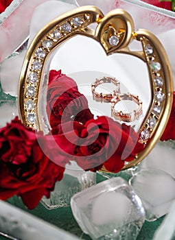 red roses with wedding rings suitable as a wedding