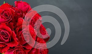 Red roses on white background for Valentines day