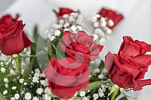 red roses and white micro flowers bouquet detail photo