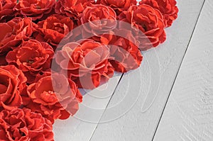 Red roses on white wooden background, Valentine Card, Valentine`s Day - Holiday, Wedding, Celebration
