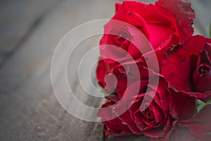 Red roses on wood background,Retro vintage ,