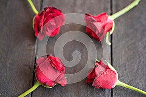 Red roses on wood background,Retro vintage ,