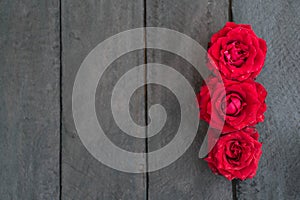 Red roses on wood background,Retro vintage