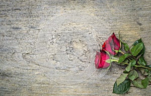 Red roses on wooden table