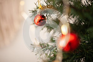 Red round Christmas tree ornament on green branch with copy space and string lights on the background.