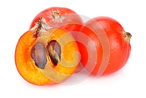 red rowan berries isolated on white background. macro