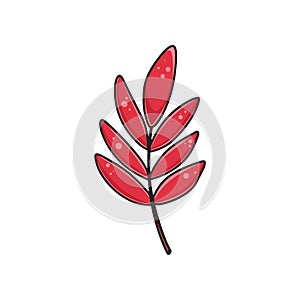 Red rowan tree leaf clipart