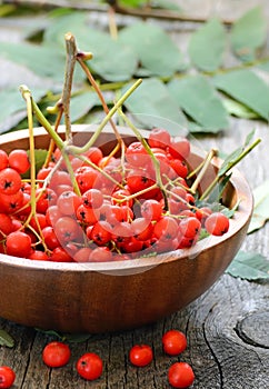 Red rowanberries in brown bowl