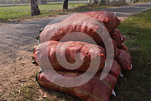 Red sacks