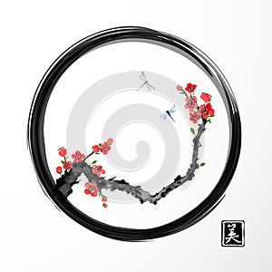 Red sakura cherry tree and two blue dragonflies in black enso zen circle on white background. Traditional oriental ink