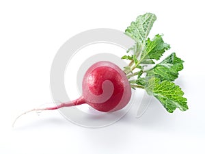 Red salad redish with leaves on the white background