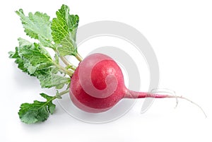 Red salad redish with leaves on the white background