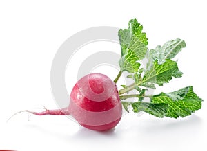 Red salad redish with leaves on the white background