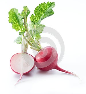 Red salad redish on the white background. photo