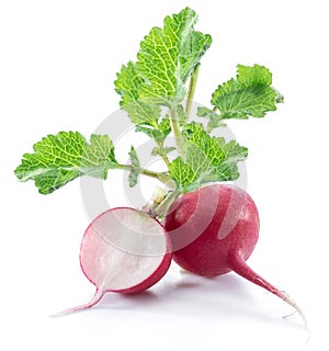 Red salad redish on the white background