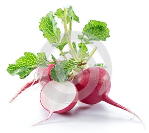 Red salad redish on the white background