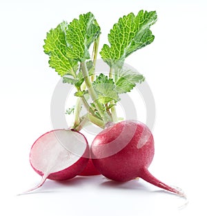Red salad redish on the white background