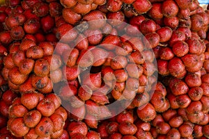 Red salak fruit in thailand market