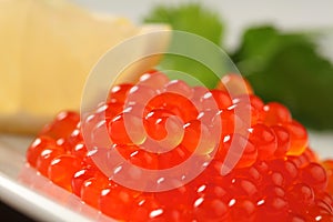 Red salmon caviar