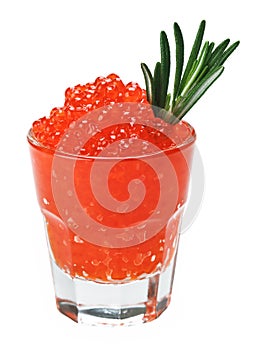 Red salmon caviar in a glass with rosemary