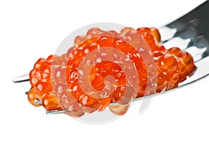 Red salmon caviar heap on metal fork