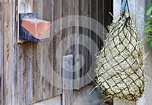 Red salt lick and fodder net