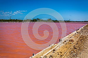 Red salt production in Puerto Rico lake photo